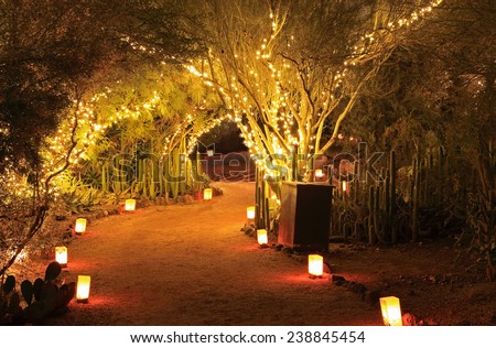 Luminarias and tree lights create a festive Christmas atmosphere in this Southwestern garden night scene.