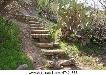 steps leading up a desert hillside