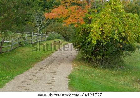 dirt path and fence through fall foliage