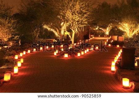 double garden path through trees at night, lit up with luminarias and Christmas lights