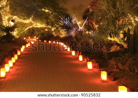 beautiful path through trees, all lit with luminarias and Christmas lights