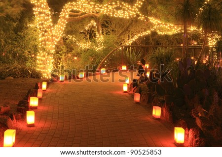 lovely garden path at night, decorated for Christmas with luminarias and white lights