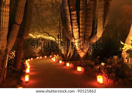 Sonoran Desert path at night, illuminated with luminarias for Christmas