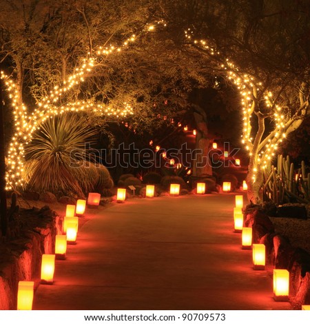 Trees and path lit with holiday lights and luminarias at night