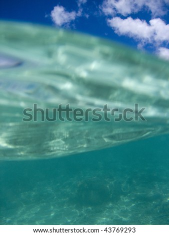view from under the water into the sky