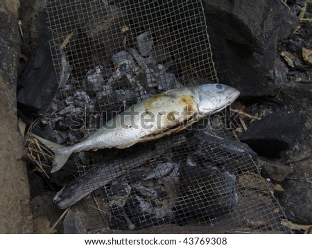 fish on a fireplace, ready to eat