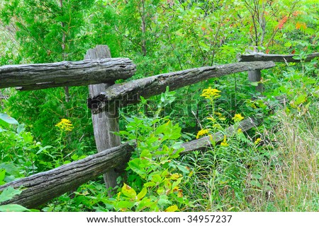 Old Split Rail Fence in an Overgrown Field