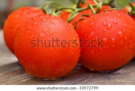 Fresh tomatoes with drops of water on a wooden board