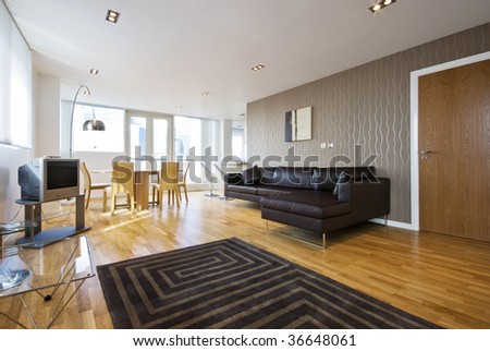 open plan designer livingroom with modern furniture