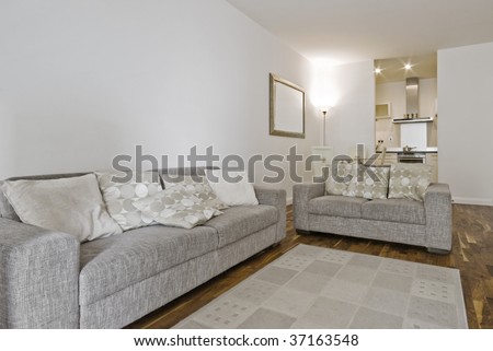 fully furnished open plan living room with two linen sofas