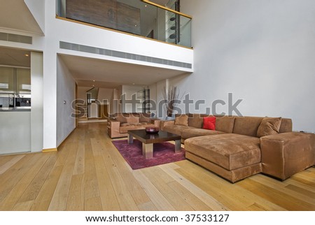 luxury open plan living room with atrium