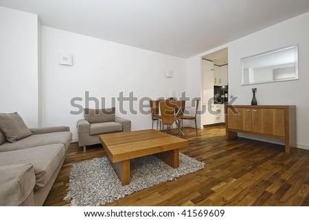 modern furnished open plan lounge with kitchen in the background