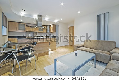 modern luxury open plan apartment with massive kitchen and breakfast bar