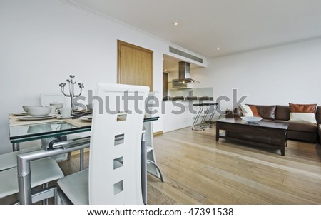 modern luxury open plan apartment with designer furniture