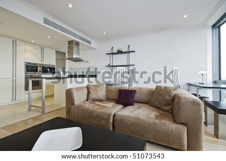 smart open plan living room with modern designer furniture