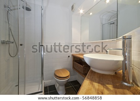 modern bathroom with designer suite and wood elements
