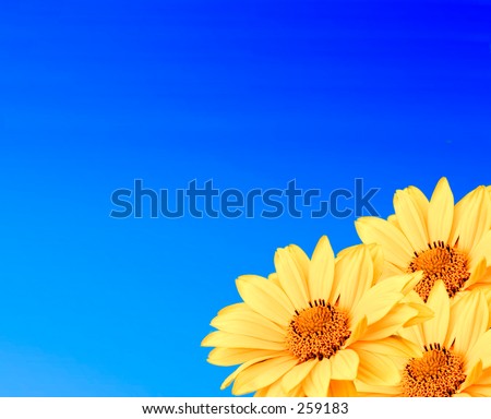 Happy blue and yellow. Collage of yellow daisies on a blue gradient background.