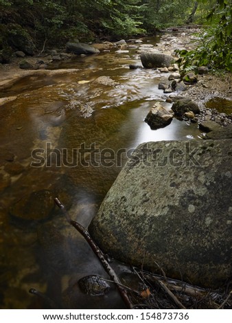 Stream in the forest of mountain Karazica, Macedonia