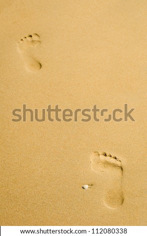 Two footprints on clear gold sand with one small shell