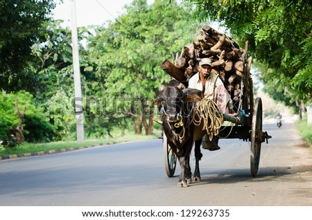 ANURADHAPURA SRI LANKA DEC 6 Local man rides bull vintage cart with firewood on Dec 6 2011 in Anuradhapura Sri Lanka Bulls are traditional nature cargo transport in Sri Lanka ANURADHAPURA SRI LANKA DEC 6 Local man rides bull vintage cart with firewood on Dec 6 2011 in Anuradhapura Sri Lanka Bulls are traditional nature cargo transport in Sri Lanka