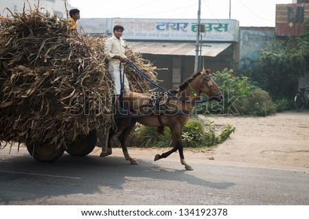 AGRA, INDIA - NOVEMBER 15: Two Indian boys ride a horse with loaded cart on a road on Nov 15, 2012 in Agra, India