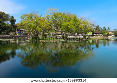 Tropical lake with clean wayer and big green tree on the middle