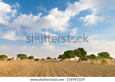 Agricultural ploughed land field under blue sky in thar desert (great indian desert)