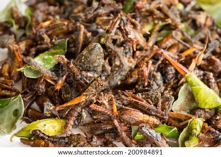 Fried edible insects mix with green lime leaves.  Fried insects are regional delicacies food in Thailand. Shallow depth of field with selective focus on front insects.