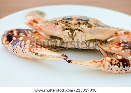 Big crab with claws on white plate. Selective focus on the crab muzzle.