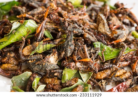 Fried edible insects mix with green lime leaves.  Fried insects are regional delicacies food in Thailand
