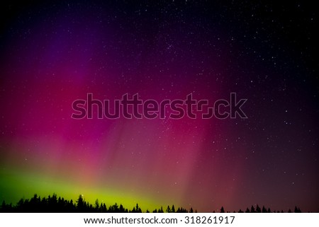 The Aurora Borealis on the horizon above the trees. The stars are slightly elongated (short star trails) due to the rotation of the earth during the exposure.