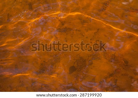 The water in Lake Forest. Water texture. Brown water. Surface water