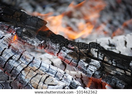 charred in campfire coverring ash