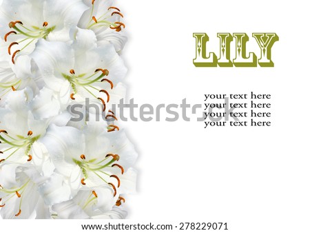 white lily on white background with letters