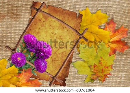 asters and maple leafs with frame on background of canvas