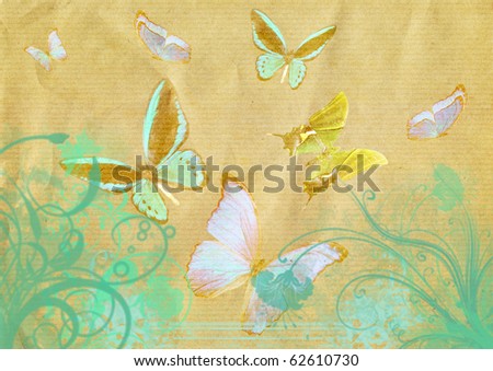 different butterfly and flowers grunge