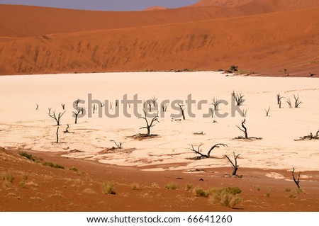 Dead Vlei is a white clay pan located near the more famous salt pan of Sossusvlei, inside the Namib-Naukluft Park in Namibia, Africa