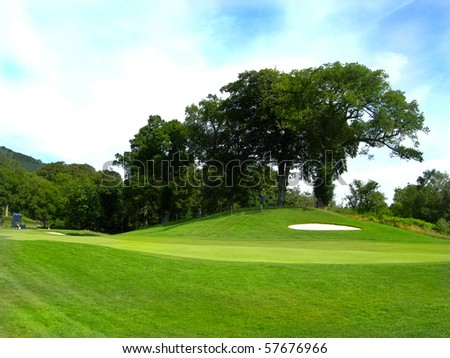 golf fairway and bunker with large tree in the background blue sky
