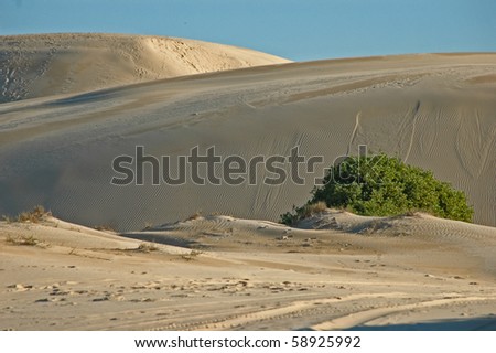 Deserts & sandunes 15, sandune and desert scenes from Australia
