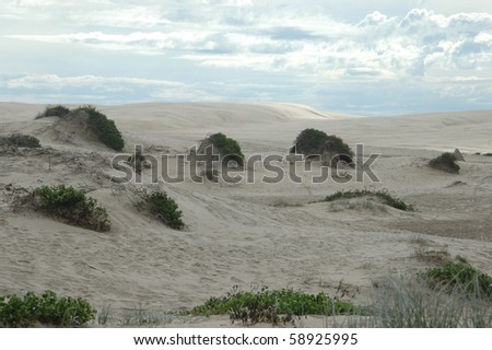 Deserts & sandunes 14, sandune and desert scenes from Australia
