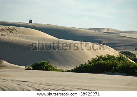 Deserts & sandunes 12, sandune and desert scenes from Australia