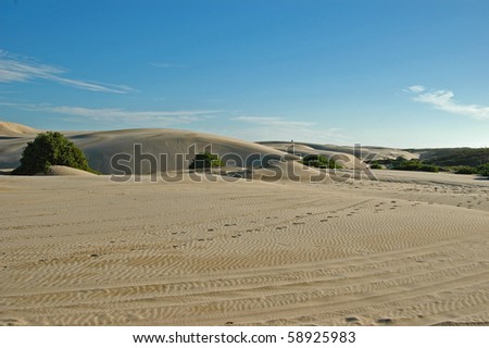 Deserts & sandunes 11, sandune and desert scenes from Australia