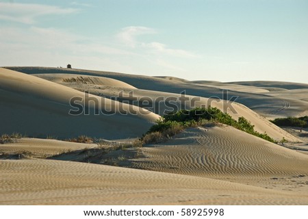 Deserts & sandunes 3, sandune and desert scenes from Australia