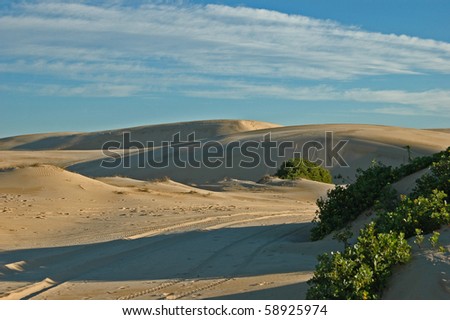 Deserts & sandunes 1, sandune and desert scenes from Australia