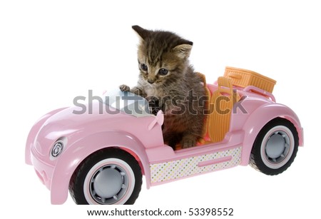 stock photo Three week old Kitten Sitting in a pink convertible toy sports 