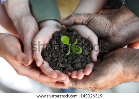 Farmers Family Hands Holding A Fresh Young Plant, Symbol Of New Life And Environmental Conservation