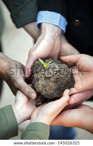 group of hands holding clod of earth with plant