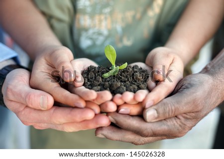 Conceptual closeup environment photo of hands holding a young plant