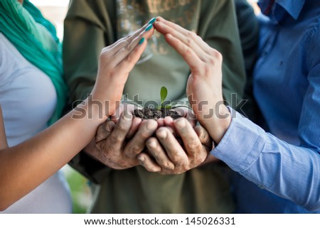 hands protecting a young plant in soil