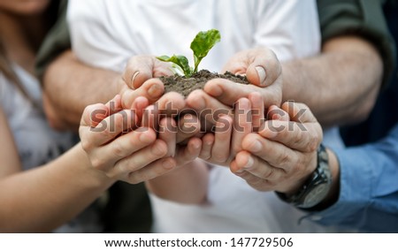 Child With Parents Holding A New Plant In Hands
